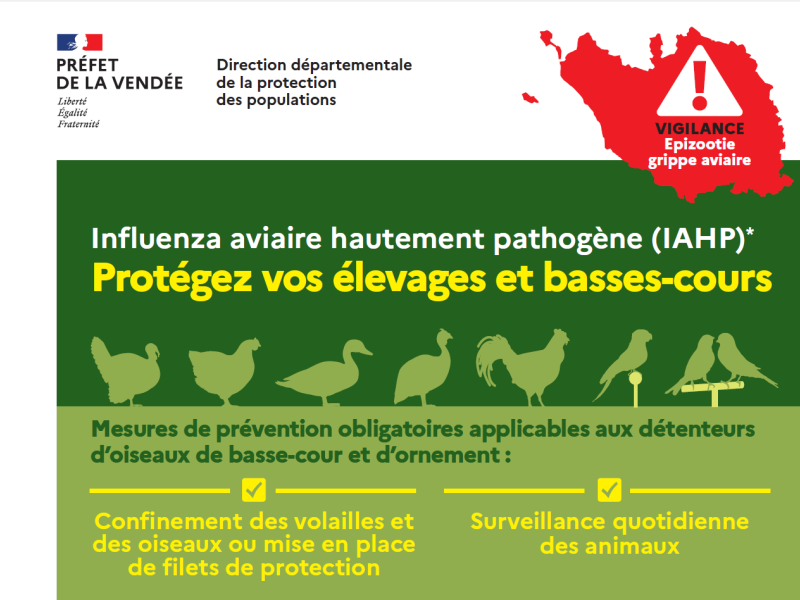 INFLUENZA AVIAIRE