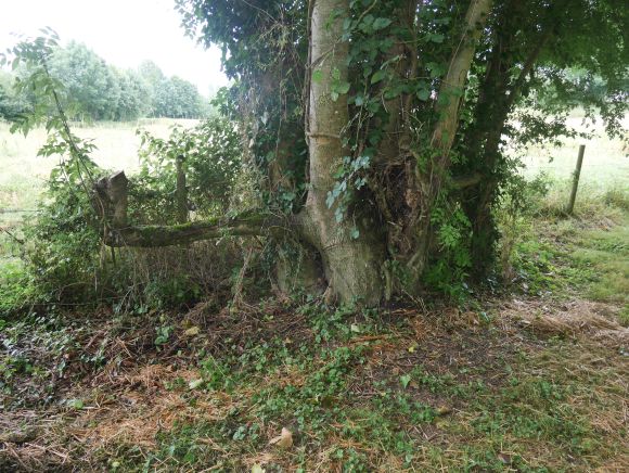 Paysage De Votre Commune - Visite du jury de territoire