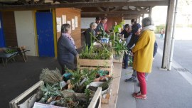  Troc-Plantes