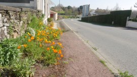  Paysage De Notre Commune
