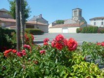 fleurs